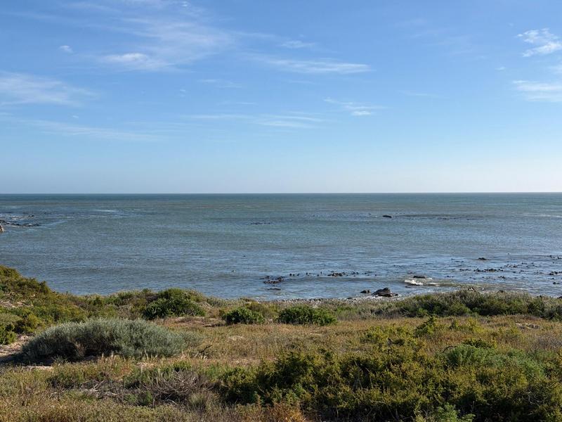 0 Bedroom Property for Sale in Cape St Martin Private Reserve Western Cape